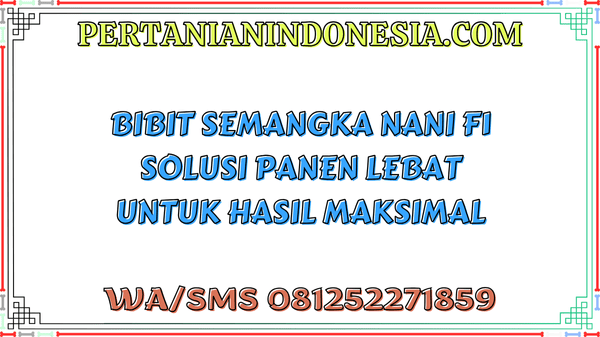 Bibit Semangka Nani F1 Solusi Panen Lebat Untuk Hasil Maksimal